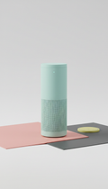 Mint Frost Smart Speaker